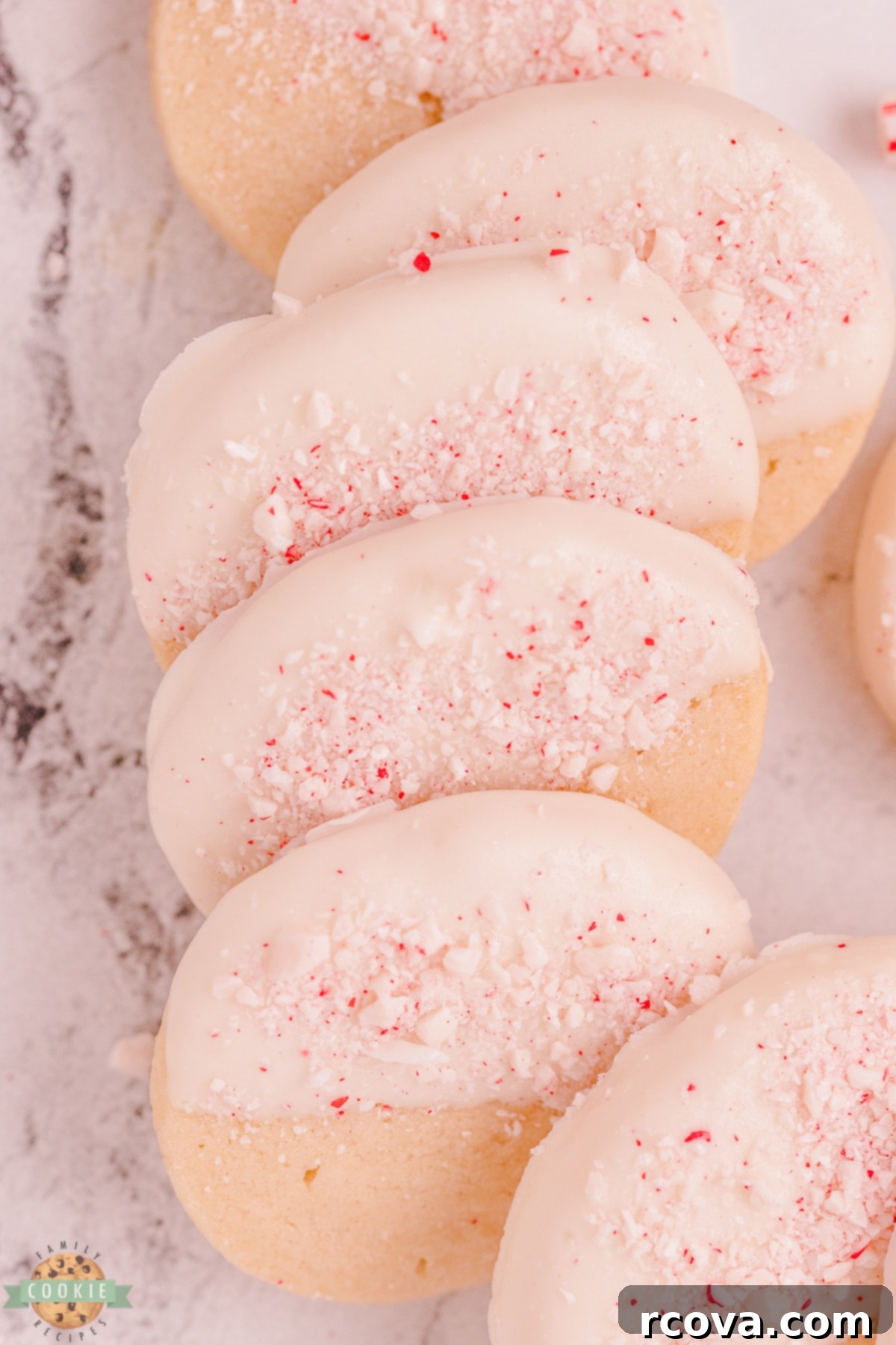 Buttery Peppermint Shortbread Delights 7 Chilled peppermint shortbread dough logs ready for slicing and baking.