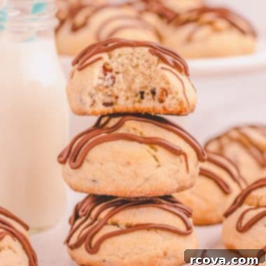Melty Choc-Chip Perfection 9 Delicious chocolate chip scone cookies, a perfect blend of cookie and scone