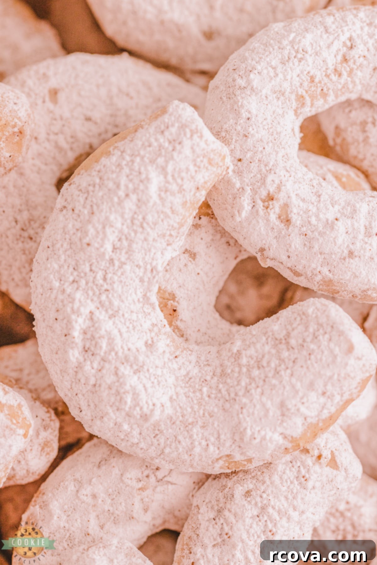 Golden Cinnamon Almond Moons 6 almond crescent cookies with cinnamon