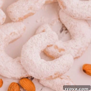 Golden Cinnamon Almond Moons 8 almond crescent cookies