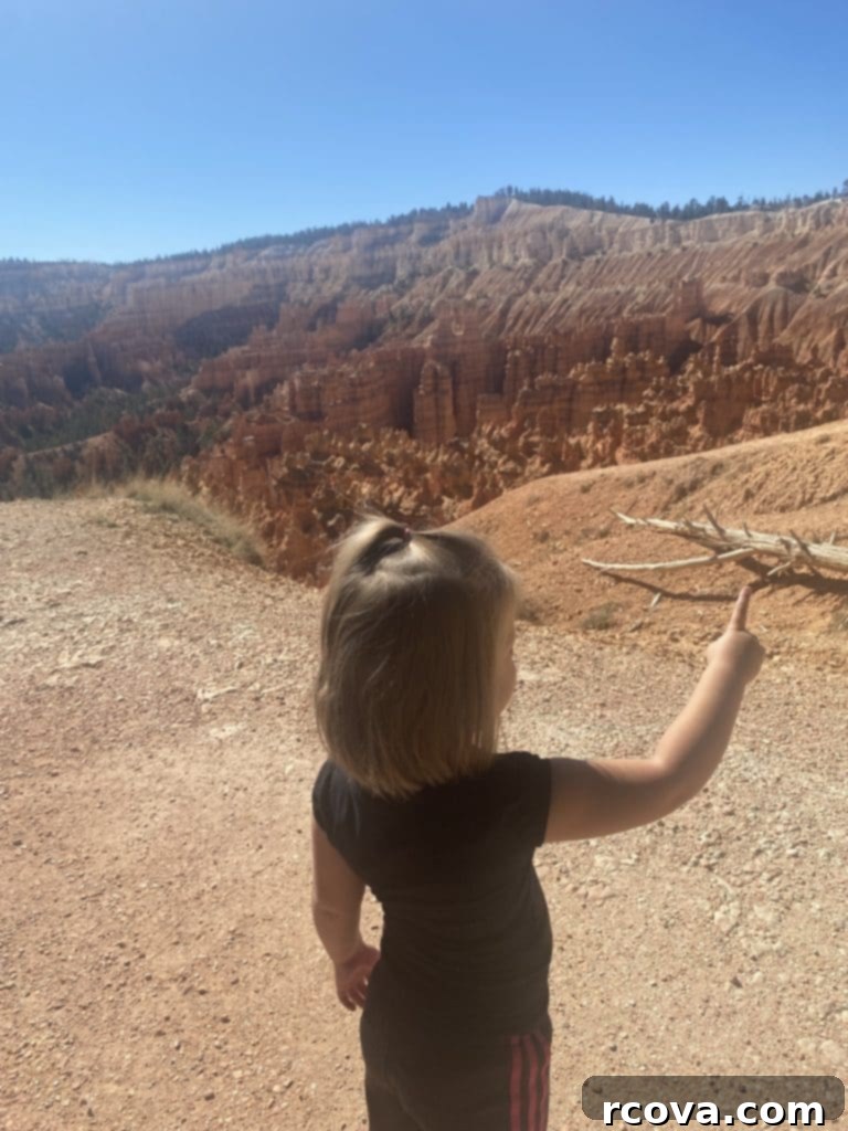 Decadent German Chocolate Cookies 14 Family enjoying a scenic view at Bryce Canyon National Park