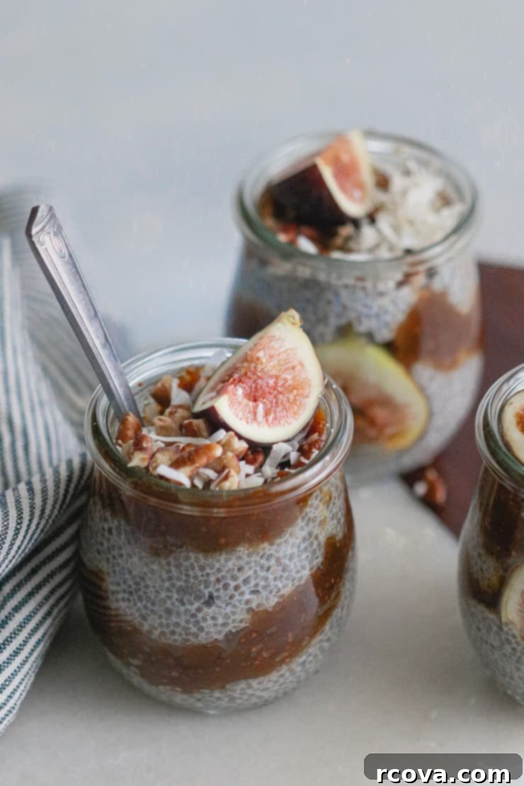 Luscious Fig Chia Pudding 2 Fig Jam Chia Seed Pudding