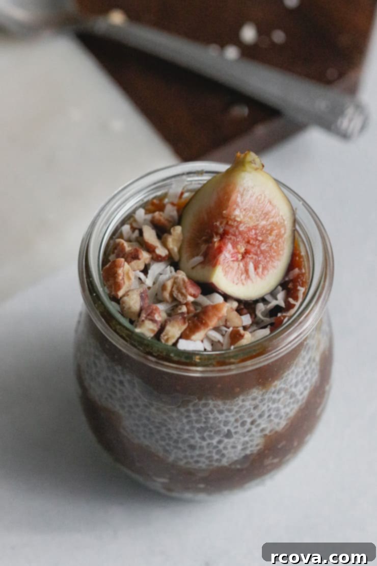 Luscious Fig Chia Pudding 6 Fig Jam Chia Seed Pudding