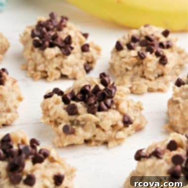 Effortless Banana Oat Treats 8 A close-up of a delicious Banana Oatmeal No-Bake Cookie on a plate.