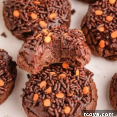Bewitching Brownie Cookies 8 soft chewy Halloween Brownie cookies