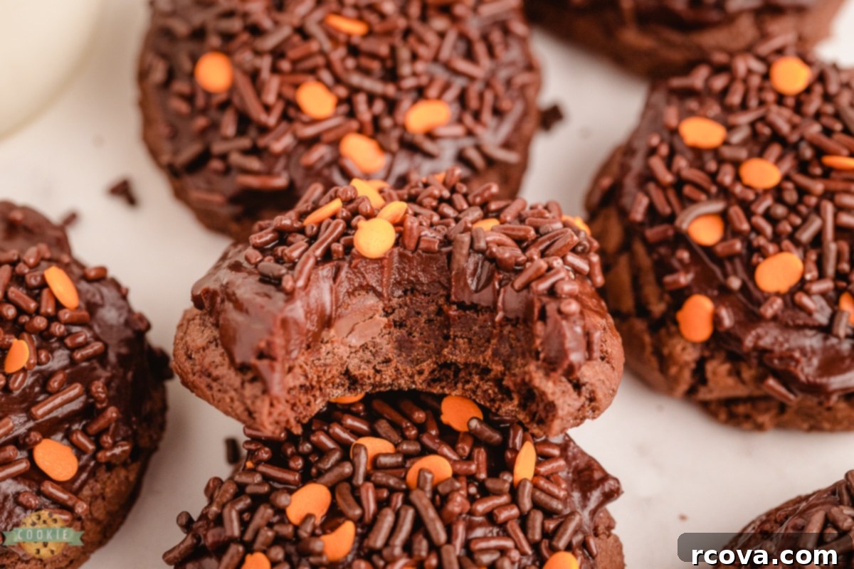 Bewitching Brownie Cookies 9 fudgy soft Halloween brownie cookies
