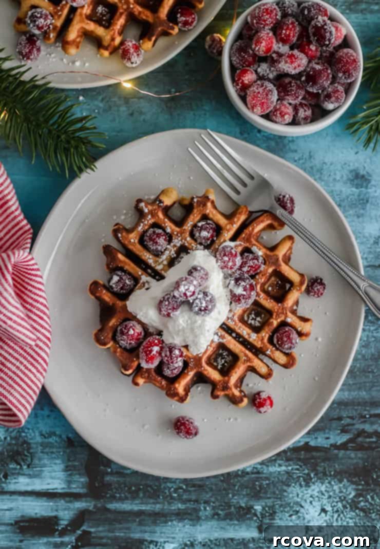 Cozy Grain-Free Gingerbread Waffles 2 Grain-Free Gingerbread Waffles