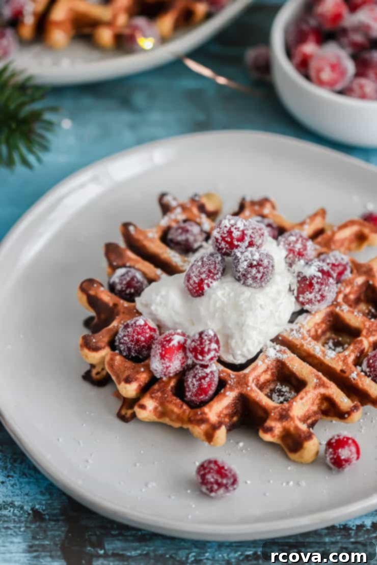 Cozy Grain-Free Gingerbread Waffles 3 Grain-Free Gingerbread Waffles
