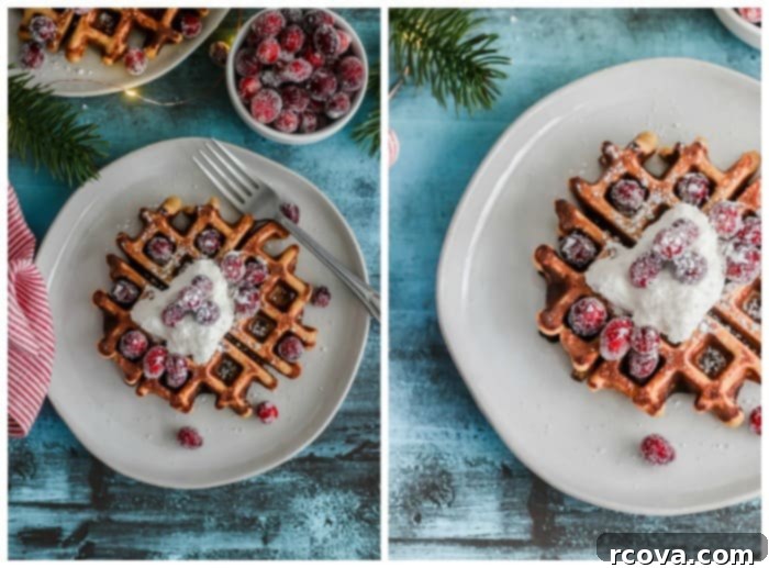 Cozy Grain-Free Gingerbread Waffles 4 img 14123 3
