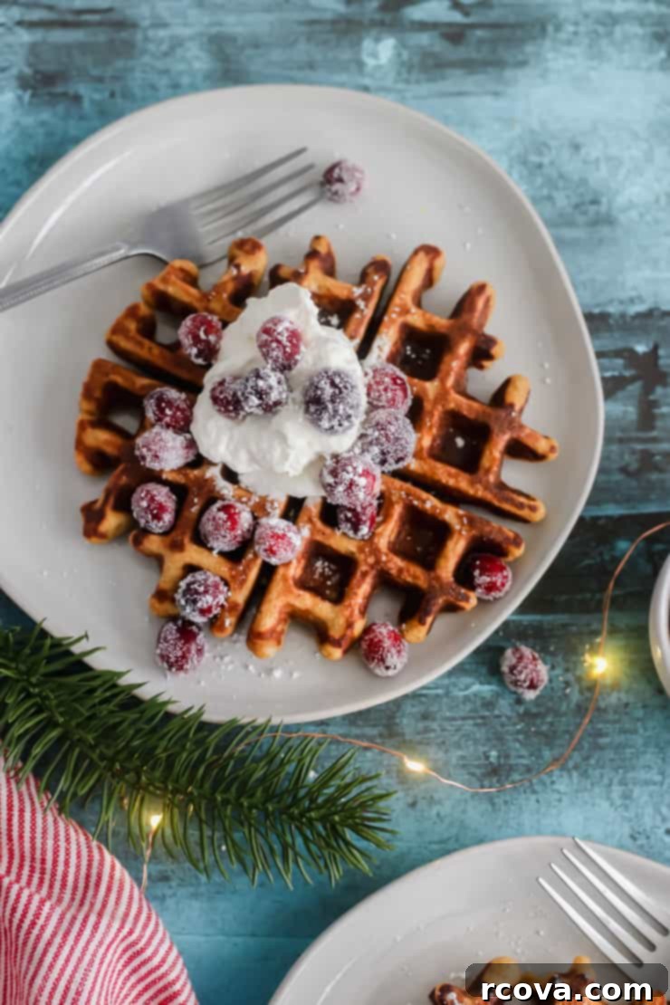 Cozy Grain-Free Gingerbread Waffles 5 Grain-Free Gingerbread Waffles