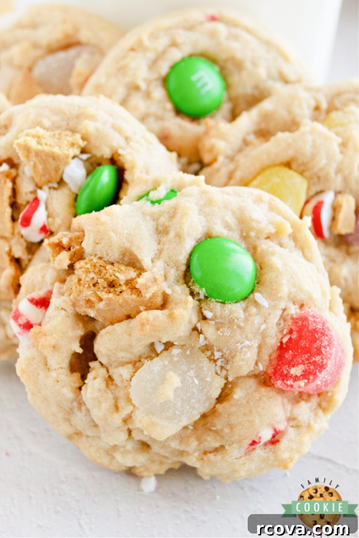 Whimsical Gingerbread Cottages 11 Gingerbread House Cookies made with gingerbread cookies, gum drops, and peppermint candies. If you can use it to decorate a gingerbread house with, you can put it in these cookies!