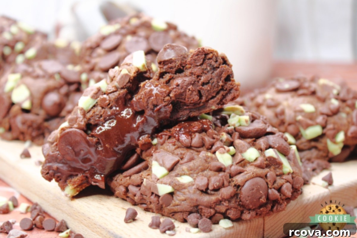 Decadent Chocolate Cookies with Andes Mint Centers 9 Andes Mint Stuffed Chocolate Cookies are rich chocolate mint cookies that are filled with chocolate ganache and a grasshopper cookie in the middle. Tons of mint flavor in this amazing chocolate cookie recipe!
