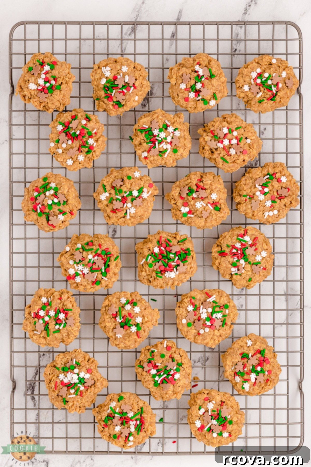 Oven Free Gingerbread Joy 5 Freshly made no bake gingerbread cookies cooling on a wire rack