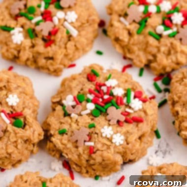 Oven Free Gingerbread Joy 6 Easy no bake gingerbread cookies, perfect for holidays