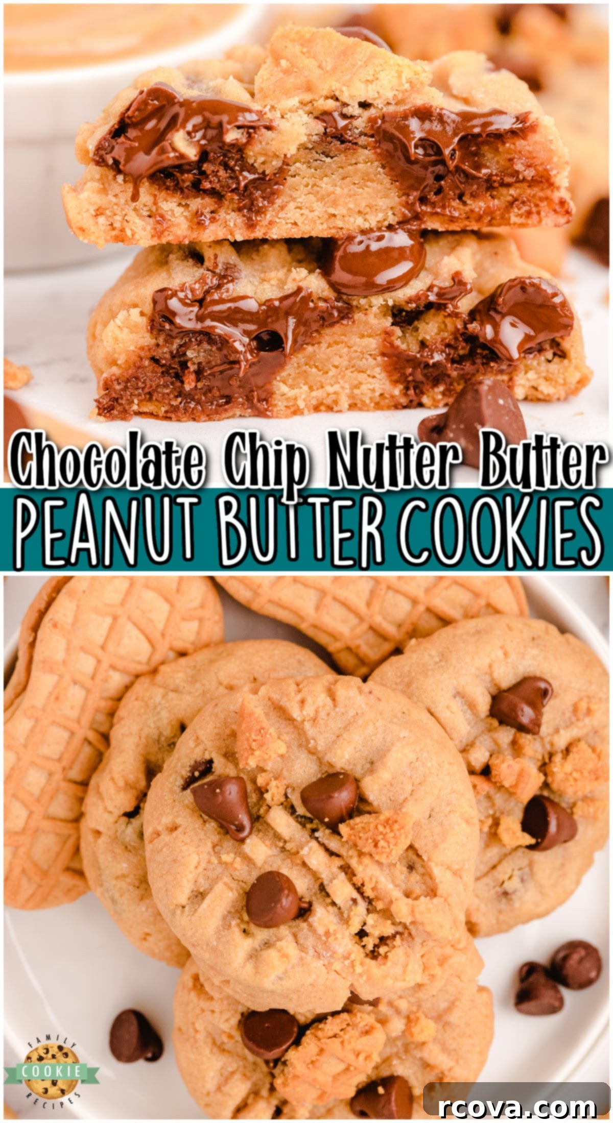 Ultimate Nutter Butter Chocolate Chip Peanut Butter Cookies 13 A stunning vertical shot of Nutter Butter Chocolate Chip Peanut Butter Cookies, perfect for Pinterest, highlighting their appealing texture and ingredients
