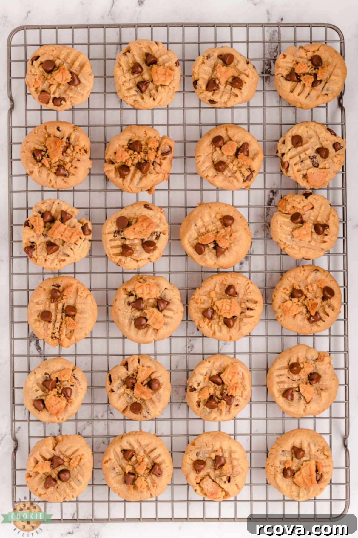 Ultimate Nutter Butter Chocolate Chip Peanut Butter Cookies 6 Freshly baked Nutter Butter Chocolate Chip Peanut Butter Cookies cooling on a wire rack, still warm and inviting