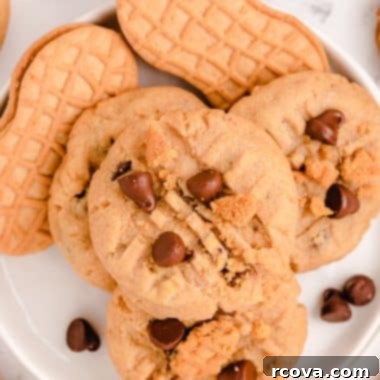 Ultimate Nutter Butter Chocolate Chip Peanut Butter Cookies 8 Nutter Butter Chocolate Chip Peanut Butter Cookies