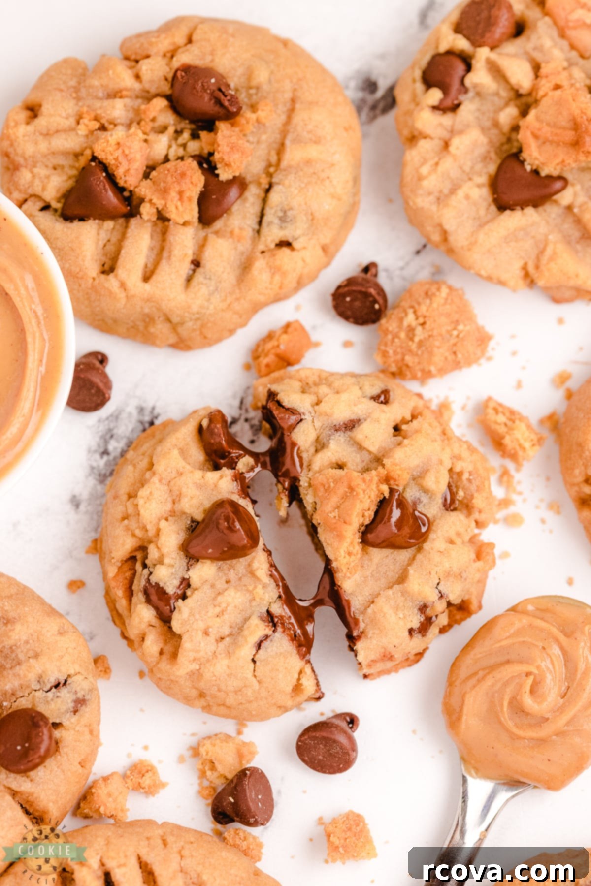 Ultimate Nutter Butter Chocolate Chip Peanut Butter Cookies 9 A close-up view of a Nutter Butter Chocolate Chip Peanut Butter Cookie, showcasing the peanut butter cookie base with chocolate chips and crushed Nutter Butter pieces baked in