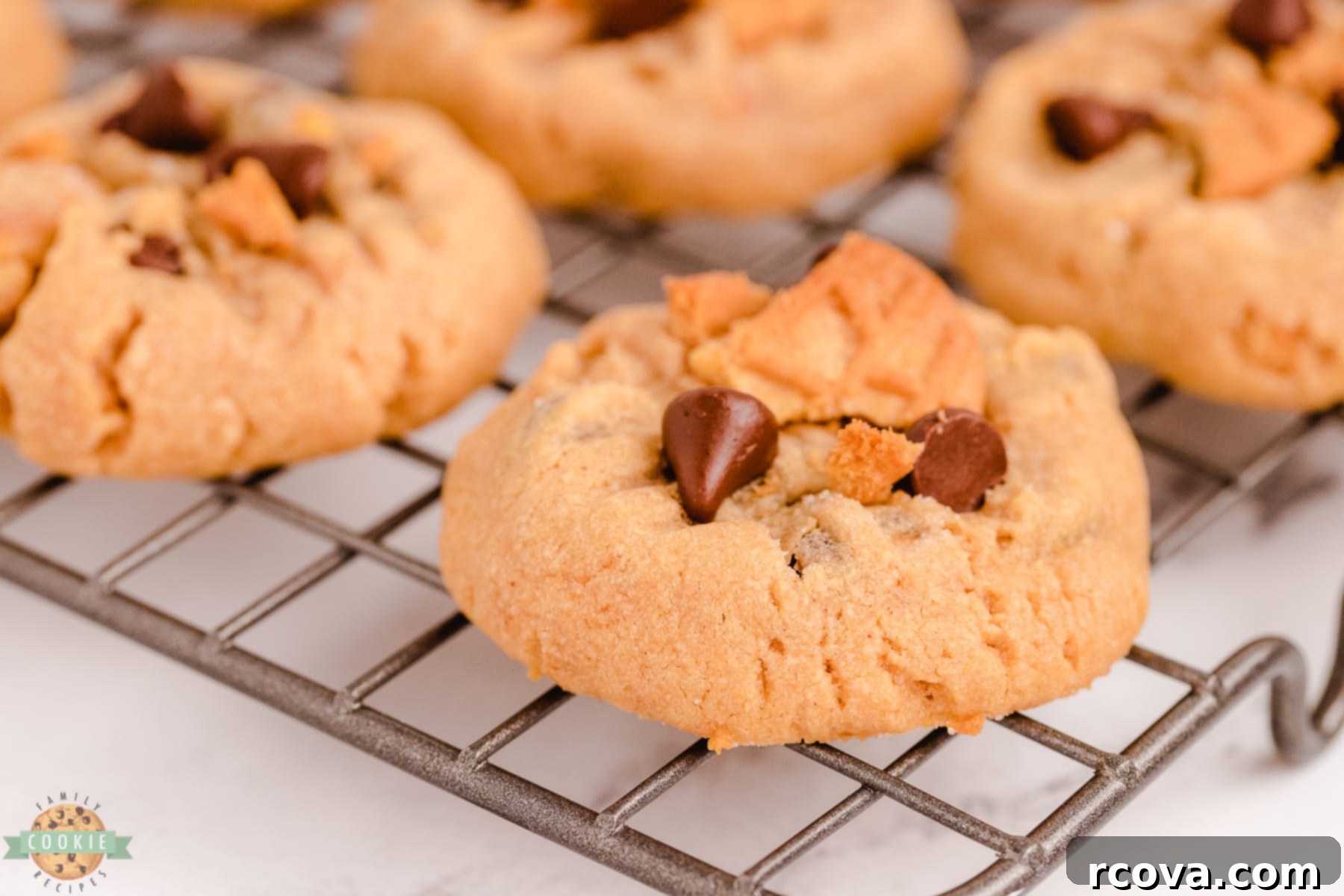 Ultimate Nutter Butter Chocolate Chip Peanut Butter Cookies 10 A single chewy peanut butter chocolate chip cookie with Nutter Butter pieces on a wire cooling rack