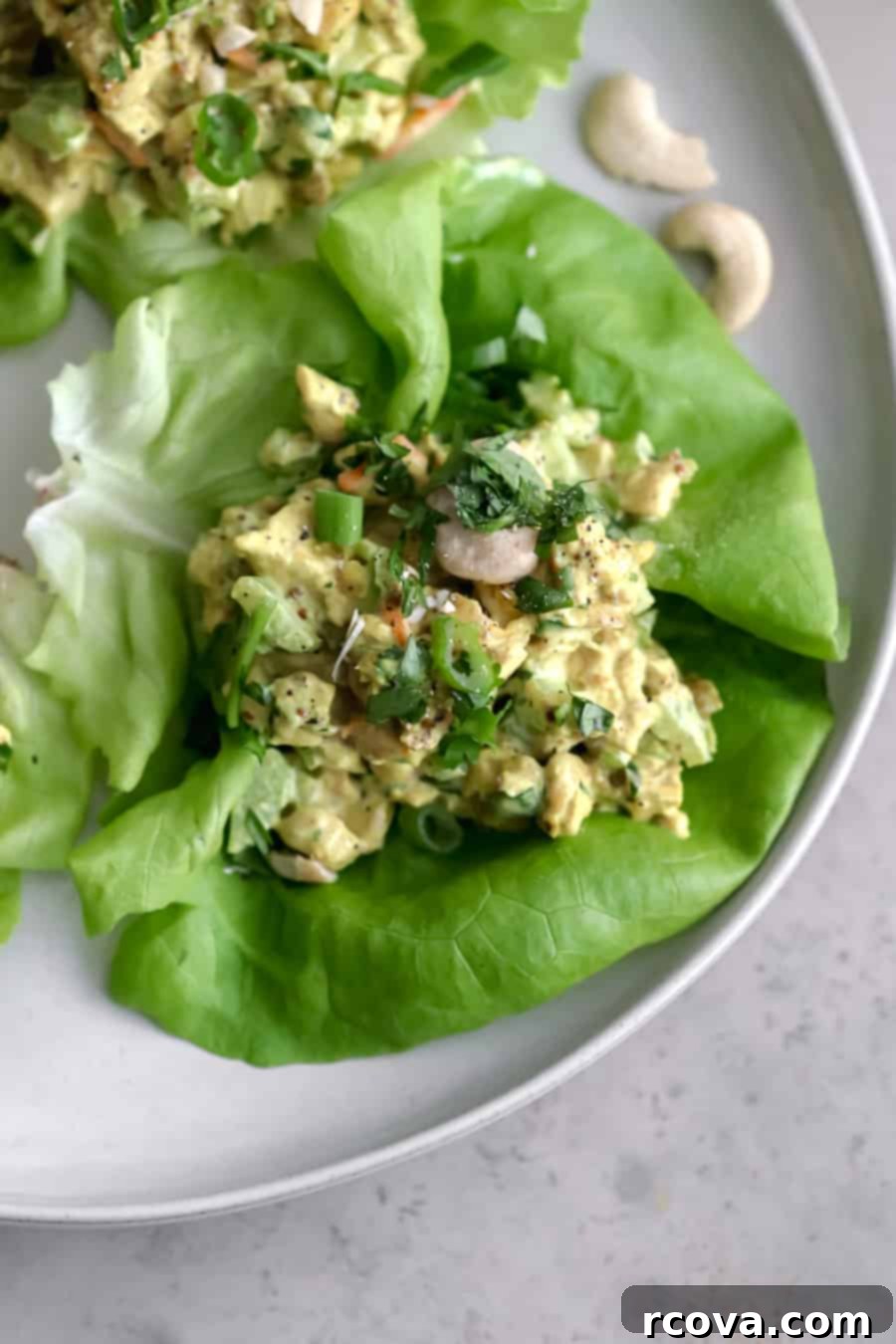 Fast and Flavorful Curried Chicken Salad 2 Flavorful curried chicken salad with golden raisins and cashews, suitable for paleo, whole30, keto, and dairy-free diets