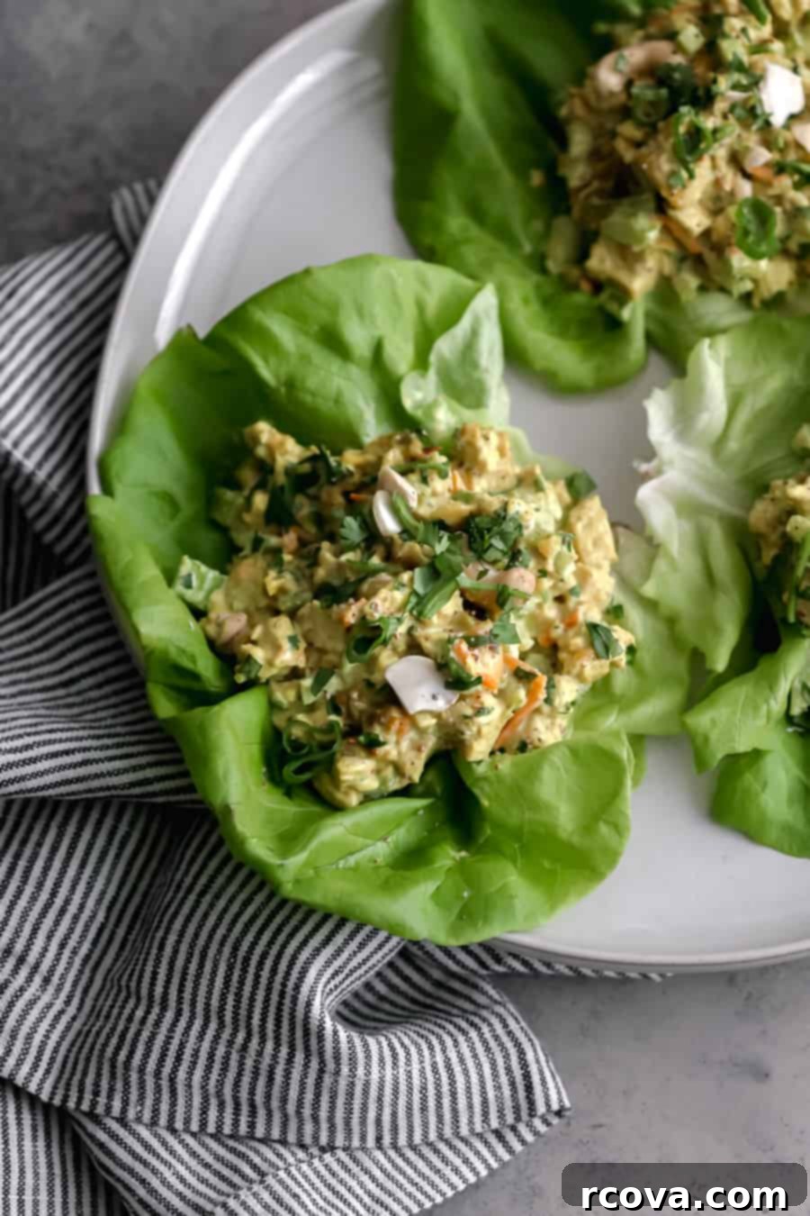 Fast and Flavorful Curried Chicken Salad 3 Close-up of vibrant curried chicken salad, highlighting its creamy texture and fresh ingredients, compliant with paleo, whole30, keto, and dairy-free lifestyles