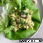 Fast and Flavorful Curried Chicken Salad 8 A beautifully presented bowl of curried chicken salad, featuring a vibrant blend of chicken, exotic spices, and colorful additions like golden raisins and cashews. This recipe is perfectly suited for paleo, whole30, keto, and dairy-free diets, offering a healthy and flavorful meal option.