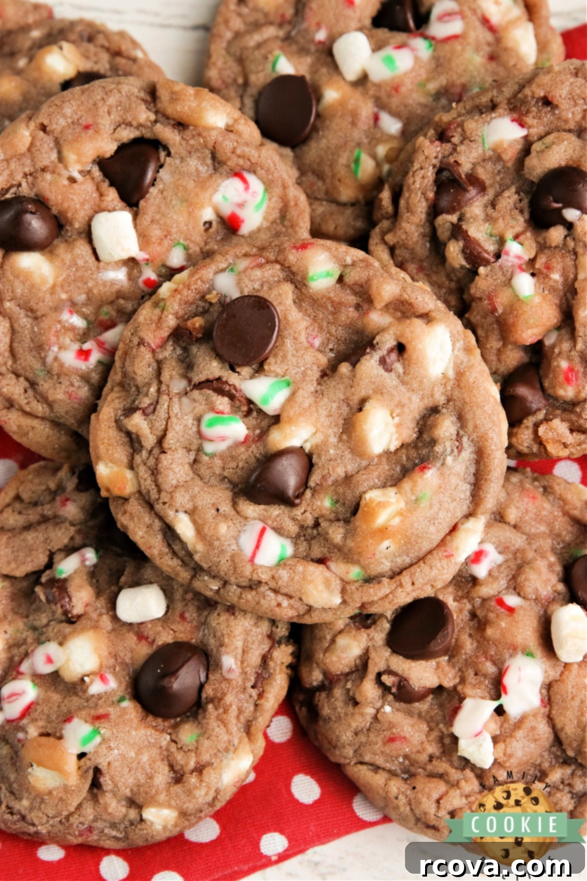 Cozy Cocoa Delights 2 Hot Cocoa Cookies made with hot cocoa mix, chocolate chips, crushed candy canes and marshmallow bits. These hot chocolate cookies are simple to make and have all the flavors of a cup of your favorite hot cocoa!