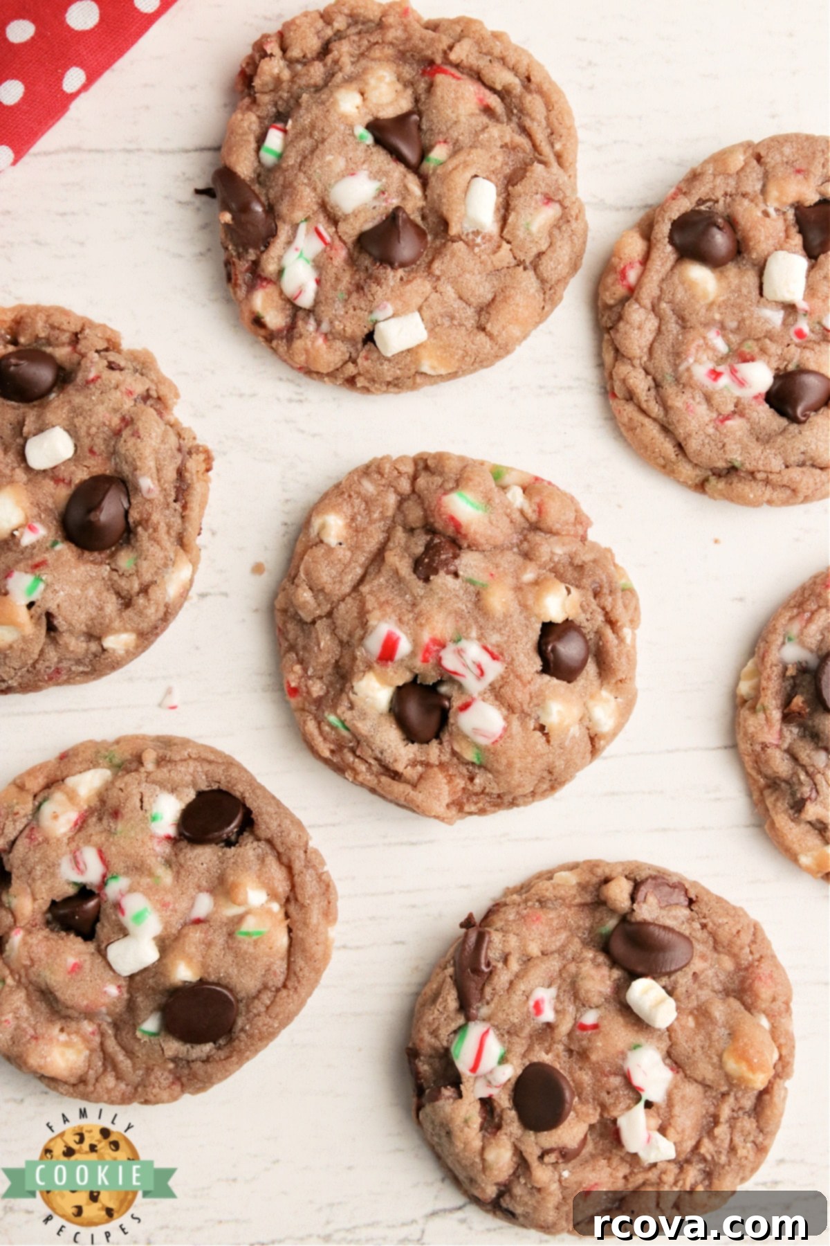 Cozy Cocoa Delights 11 Hot chocolate cookie recipes with festive decorations