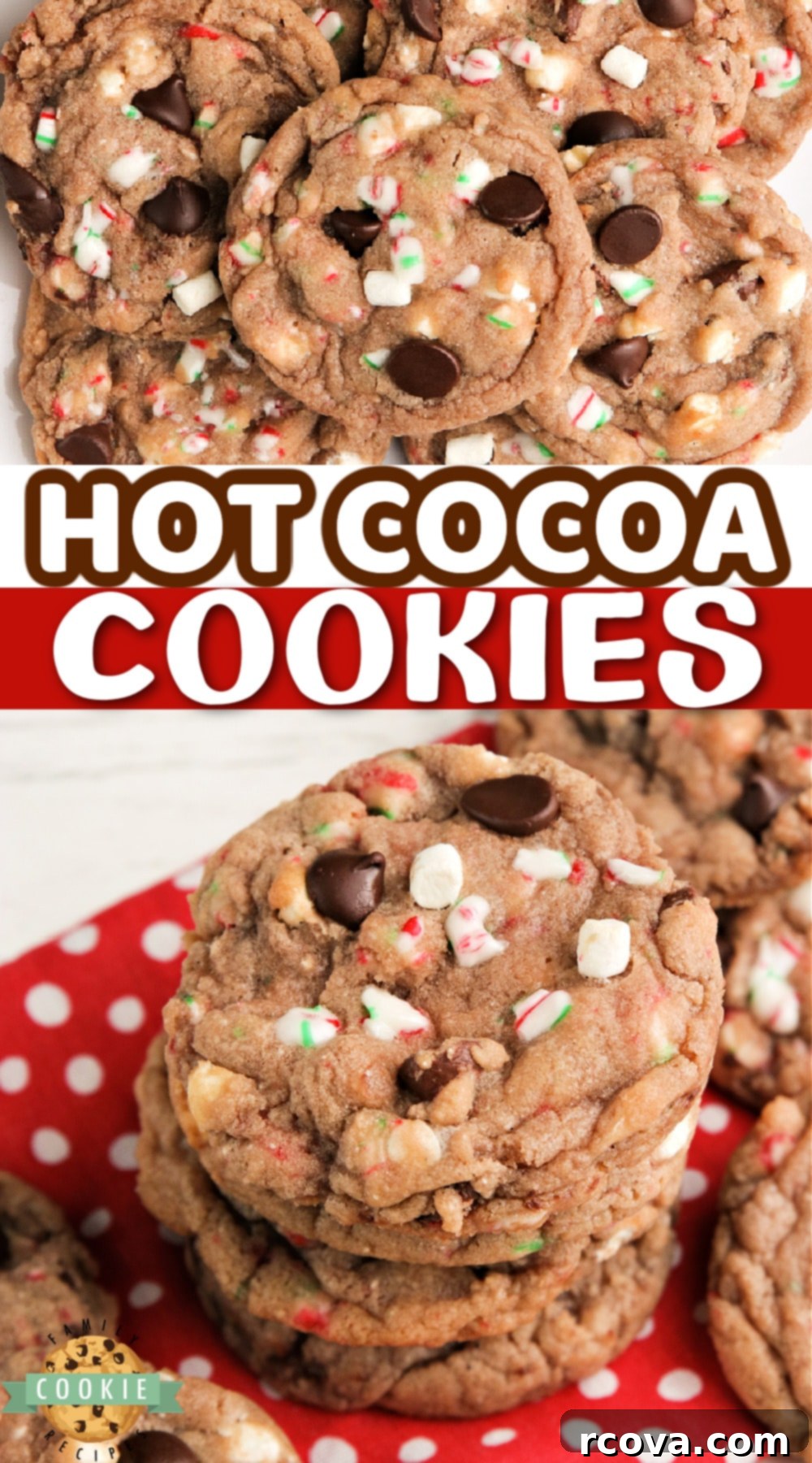 Cozy Cocoa Delights 12 A warm mug of hot cocoa with whipped cream and a hot cocoa cookie
