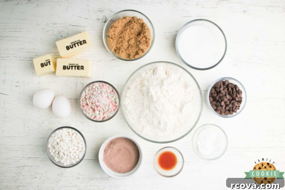 Cozy Cocoa Delights 3 Ingredients in Hot Cocoa Cookies