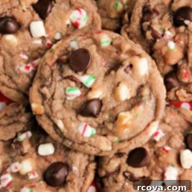 Cozy Cocoa Delights 6 A plate of freshly baked Hot Cocoa Cookies garnished with extra marshmallows and crushed candy canes.