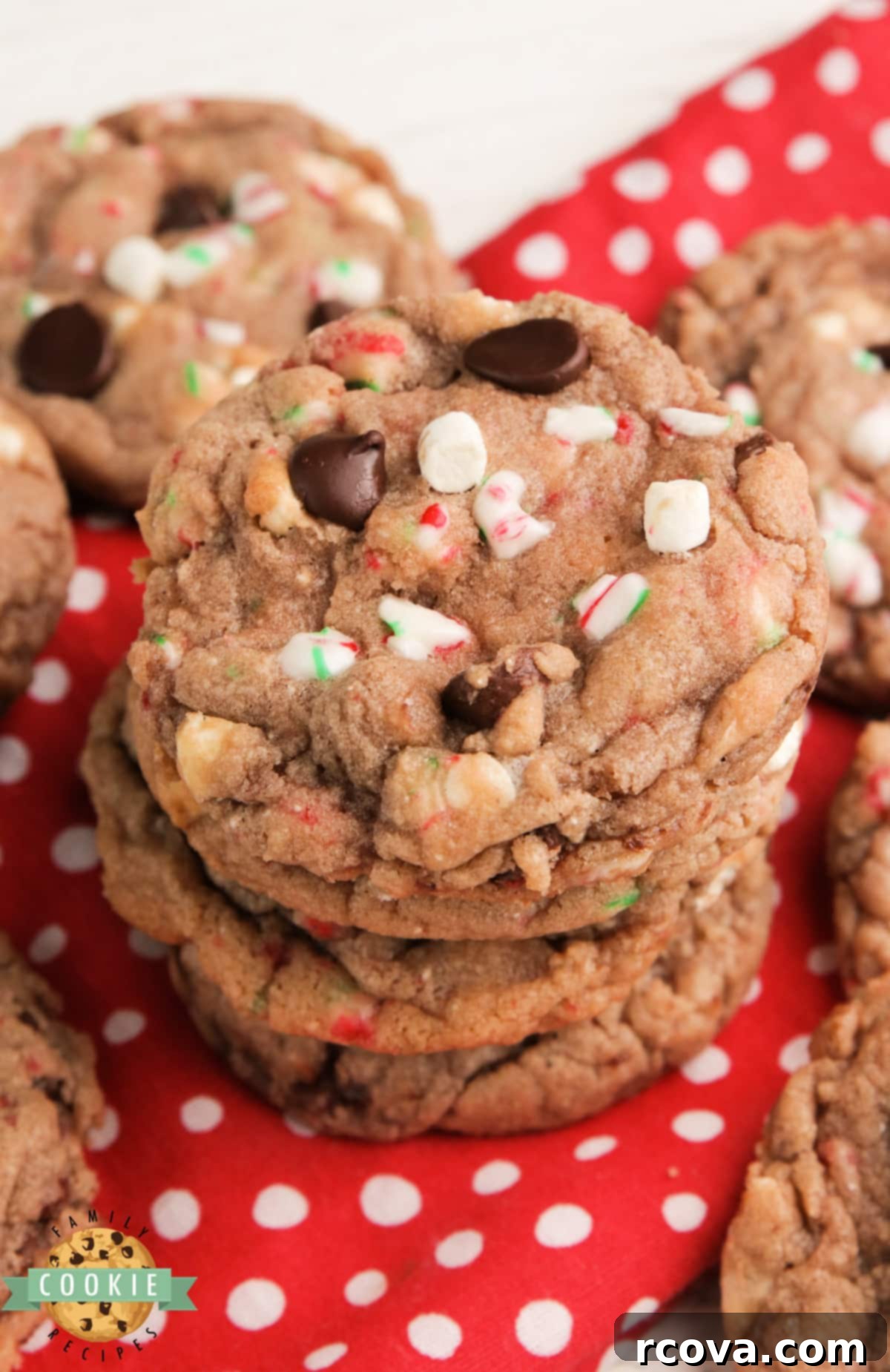 Cozy Cocoa Delights 7 Hot chocolate cookie recipe with close-up of crushed candy canes