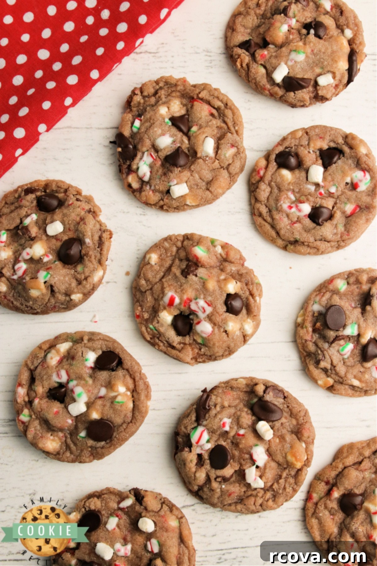 Cozy Cocoa Delights 8 Plate of hot chocolate cookies with marshmallows and candy canes