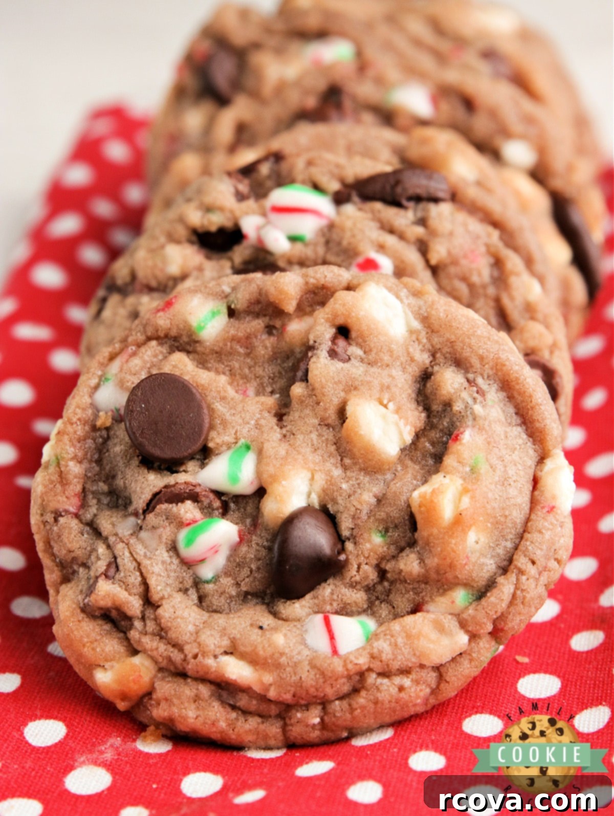 Cozy Cocoa Delights 9 Cookies with hot cocoa mix, chocolate chips and candy canes on a baking rack