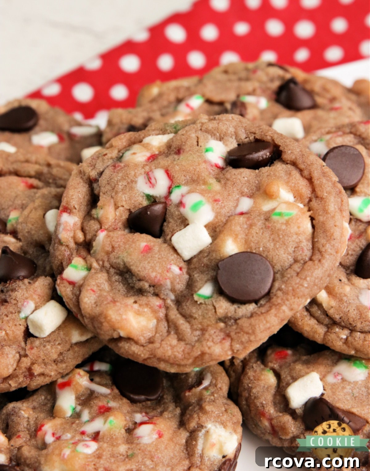Cozy Cocoa Delights 10 Hot cocoa cookie dough on a baking sheet