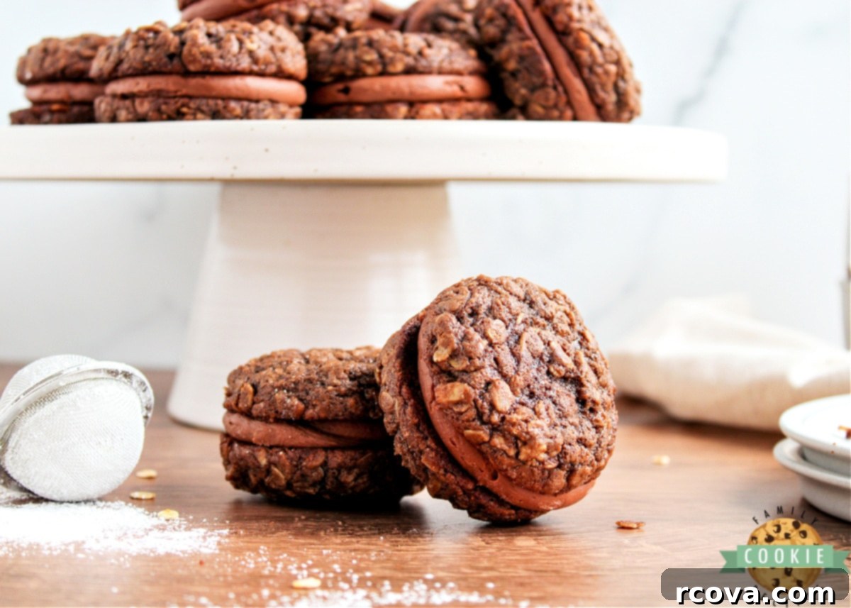 Velvet Chocolate Oatmeal Cream Pies 12 A pair of Chocolate Oatmeal Cream Pies on a dark background, highlighting the rich chocolate color