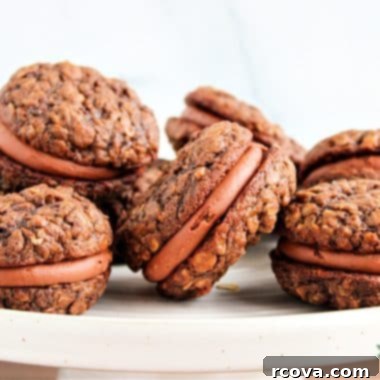 Velvet Chocolate Oatmeal Cream Pies 10 Chocolate Oatmeal Cream Pies