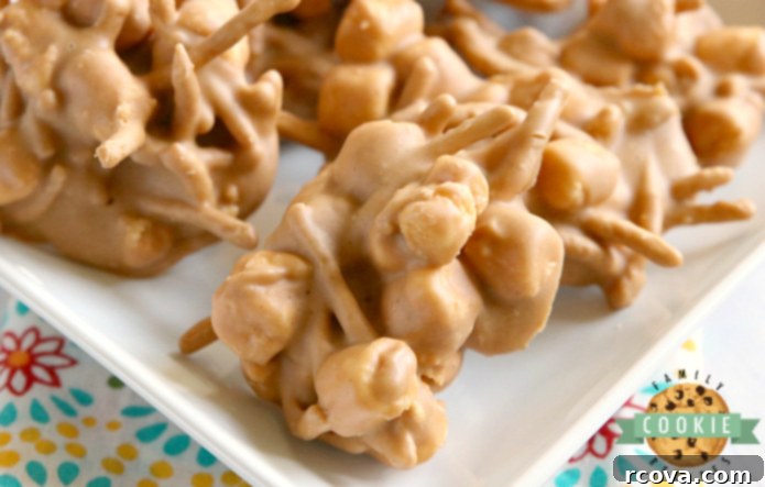 Gooey Peanut Butter Marshmallow No-Bake Bites 4 A beautifully arranged plate of Marshmallow Peanut Butter No Bake Cookies, ready for serving. The golden hues and varied textures are inviting.