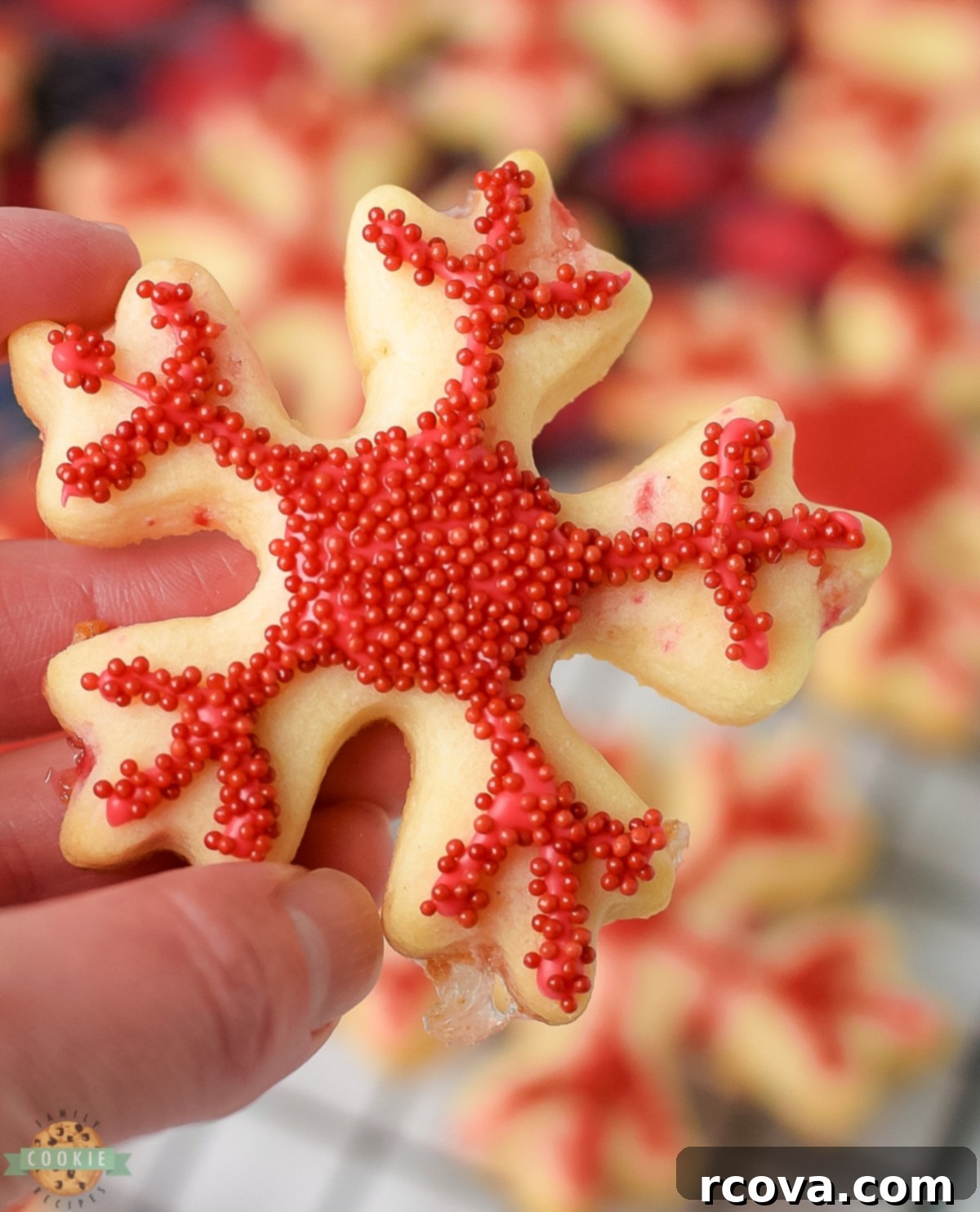 Peppermint Holiday Cookie Designs 3 holding up a red peppermint cut out Christmas cookie