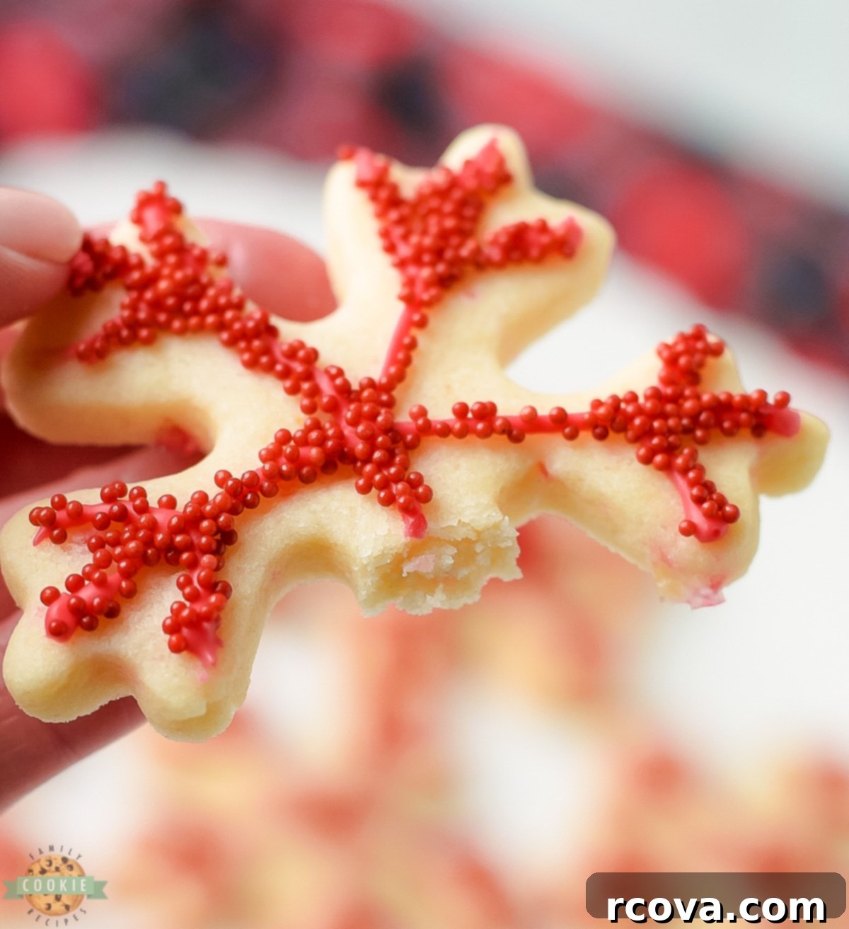 Peppermint Holiday Cookie Designs 5 bite out of a peppermint sugar cookie