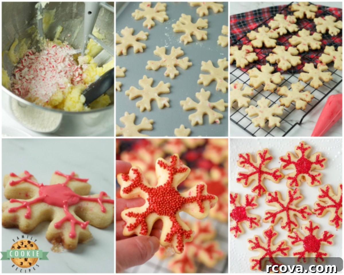 Peppermint Holiday Cookie Designs 6 how to make peppermint cut out cookies