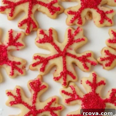Peppermint Holiday Cookie Designs 10 red snowflake peppermint cut out cookies