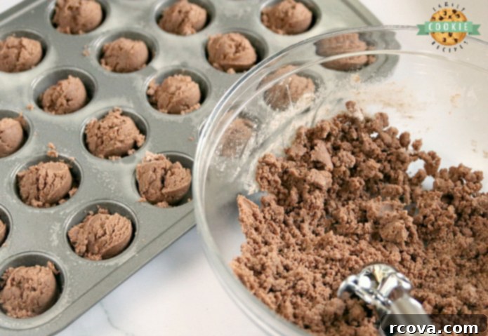 Reese's Peanut Butter Chocolate Cookie Cups 3 Reese's Chocolate Cookie Cups are bite-sized treats made with a delicious chocolate cookie base that is filled with a miniature Reese's Peanut Butter Cup! The perfect chocolate and peanut butter dessert!
