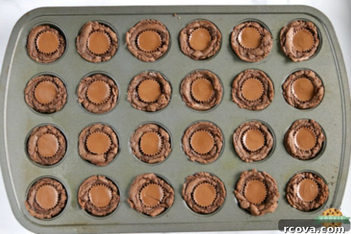 Reese's Peanut Butter Chocolate Cookie Cups 4 Reese's Chocolate Cookie Cups are bite-sized treats made with a delicious chocolate cookie base that is filled with a miniature Reese's Peanut Butter Cup! The perfect chocolate and peanut butter dessert!
