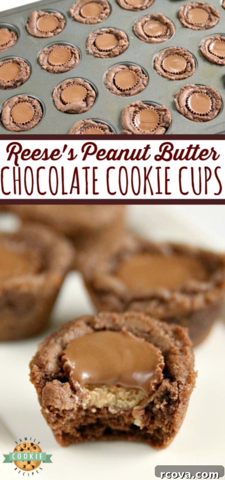 Reese's Peanut Butter Chocolate Cookie Cups 8 A close-up shot of Reese's Chocolate Cookie Cups, highlighting the rich chocolate cookie and the peanut butter cup filling.