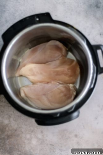 Flavorful Salsa Shredded Chicken for Instant Pot or Slow Cooker 3 Chicken, salsa, broth, and spices added to Instant Pot