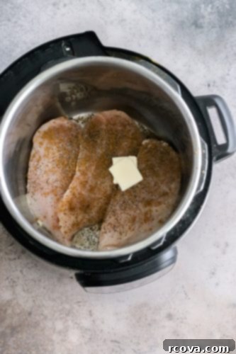 Flavorful Salsa Shredded Chicken for Instant Pot or Slow Cooker 4 Optional butter added for flavor to salsa chicken