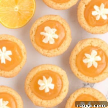 Zesty Lemon Curd Cookies 7 lemon curd cookies with dollops of whipped cream on top
