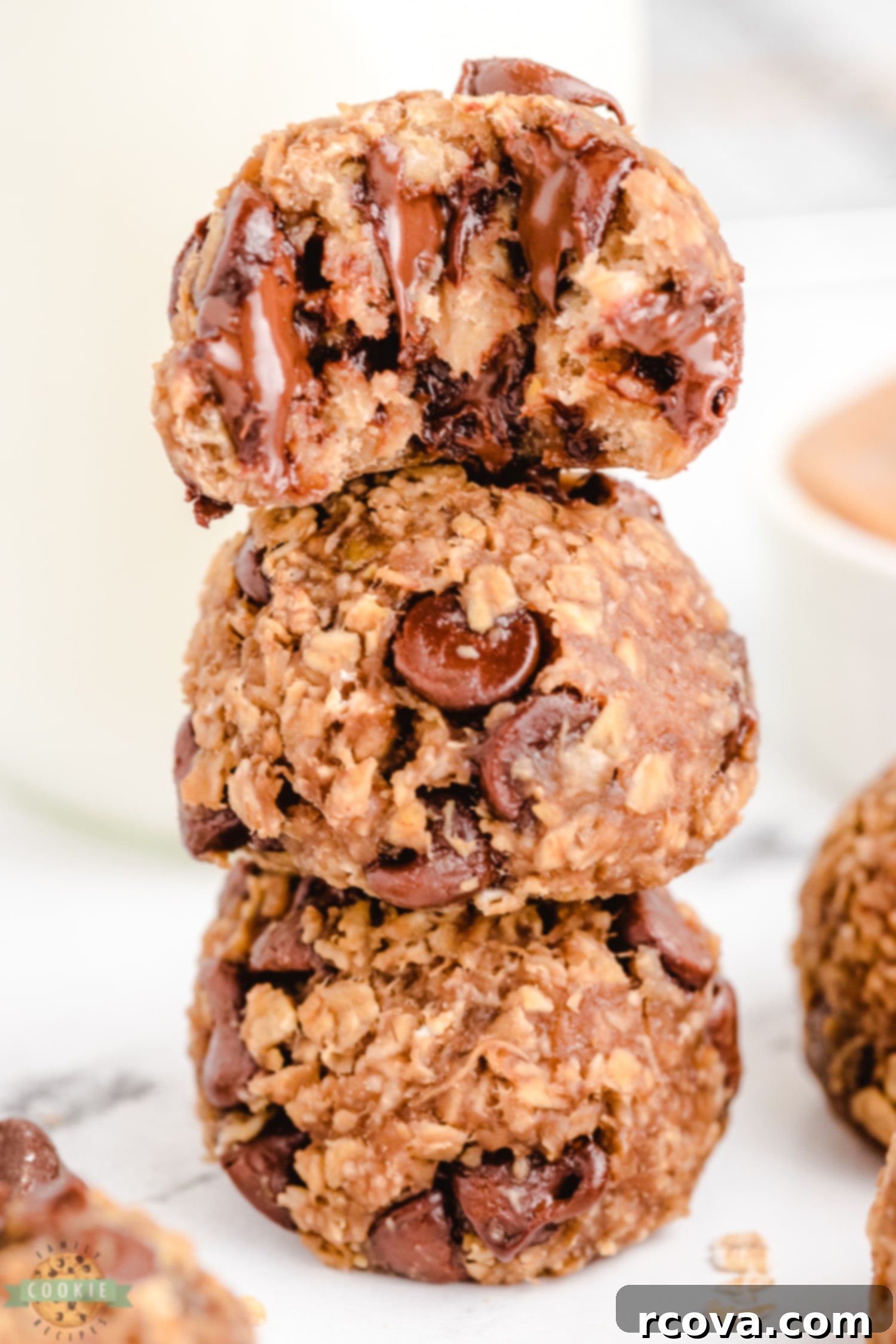 No-Fuss Vegan Chocolate Chip Perfection 5 rolled Vegan cookies with chocolate chips
