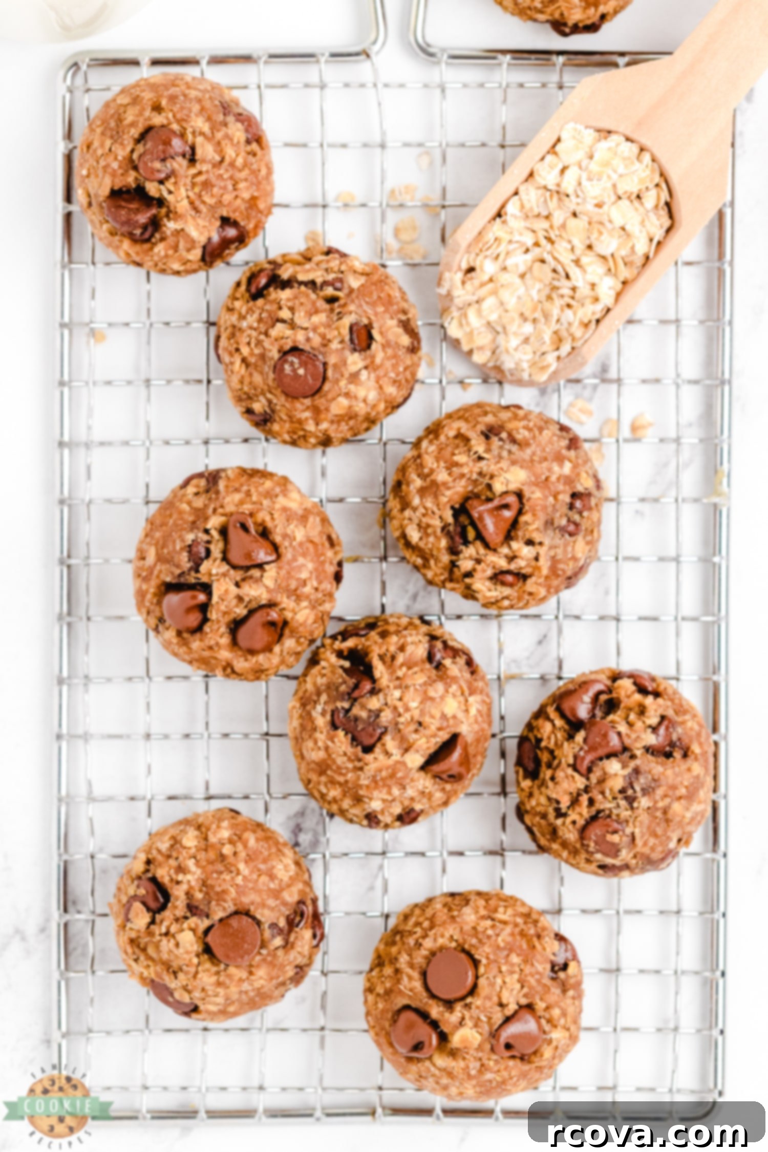 No-Fuss Vegan Chocolate Chip Perfection 6 raw Vegan chocolate chip cookies on a cooling rack